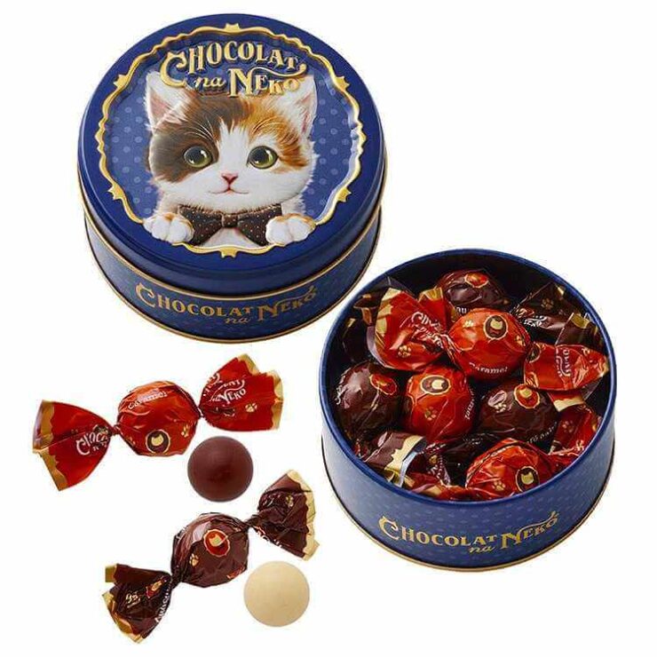 2024　ショコラな猫　ｂｙ　モロゾフ　　しっかり者のケイト（６個入り）